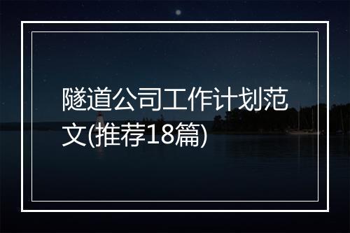 隧道公司工作计划范文(推荐18篇)