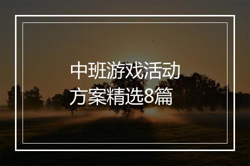 中班游戏活动方案精选8篇