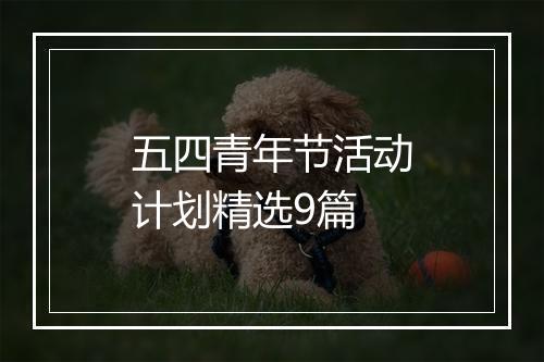五四青年节活动计划精选9篇