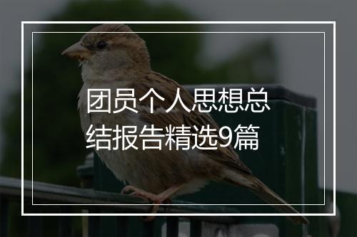 团员个人思想总结报告精选9篇