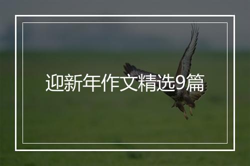 迎新年作文精选9篇