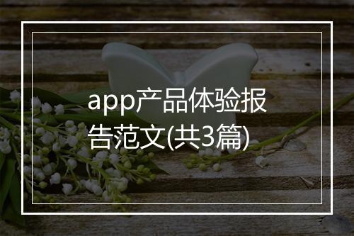 app产品体验报告范文(共3篇)
