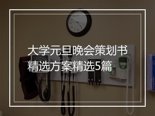 大学元旦晚会策划书精选方案精选5篇