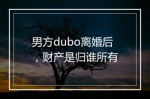男方dubo离婚后，财产是归谁所有