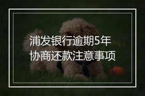 浦发银行逾期5年协商还款注意事项