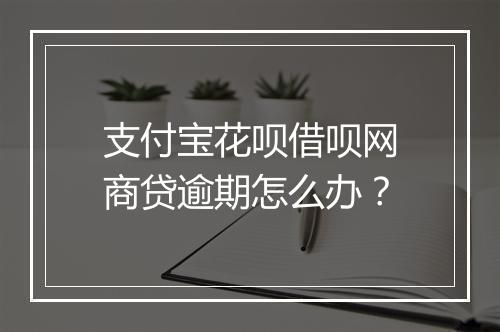 支付宝花呗借呗网商贷逾期怎么办？