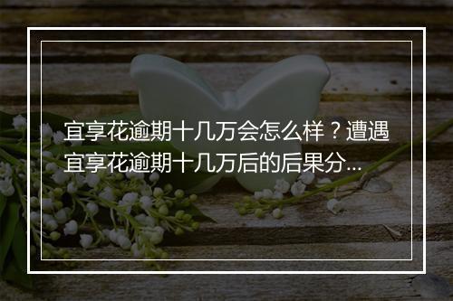 宜享花逾期十几万会怎么样？遭遇宜享花逾期十几万后的后果分析