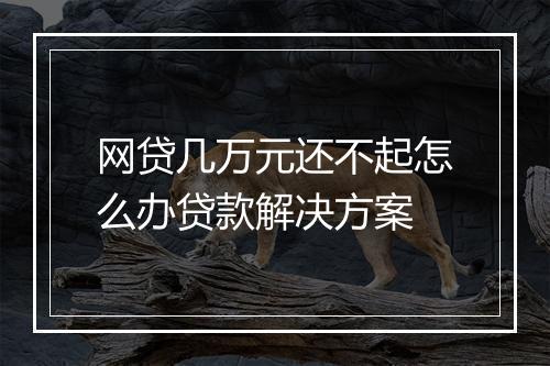 网贷几万元还不起怎么办贷款解决方案