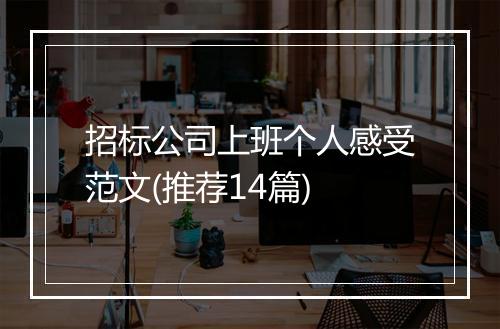招标公司上班个人感受范文(推荐14篇)