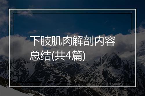 下肢肌肉解剖内容总结(共4篇)