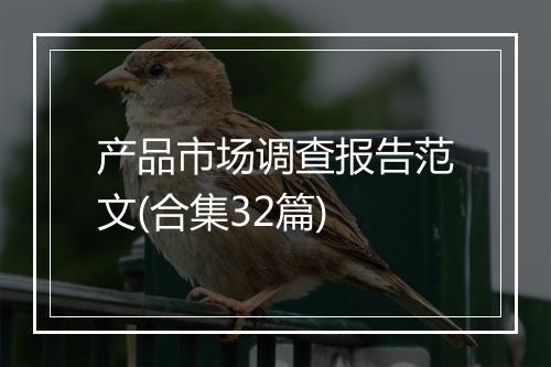 产品市场调查报告范文(合集32篇)