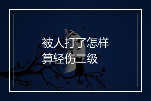被人打了怎样算轻伤二级
