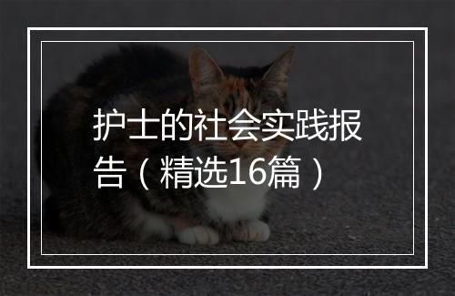 护士的社会实践报告（精选16篇）