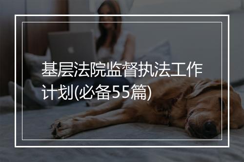 基层法院监督执法工作计划(必备55篇)