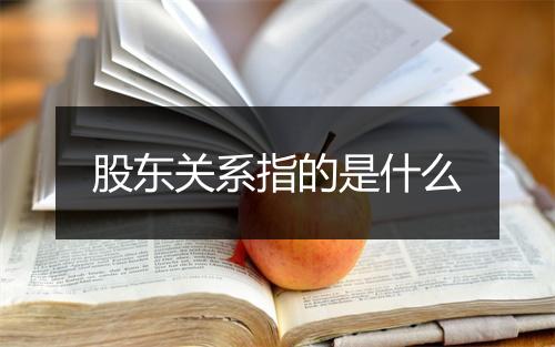 股东关系指的是什么