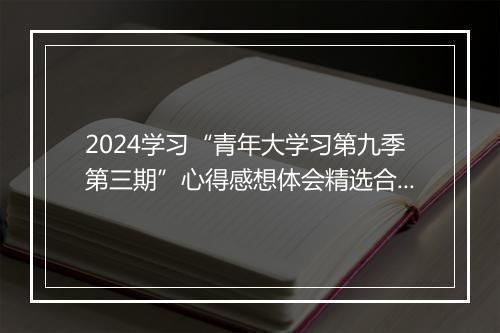 2024学习“青年大学习第九季第三期”心得感想体会精选合集10篇