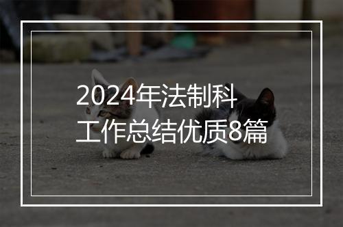 2024年法制科工作总结优质8篇