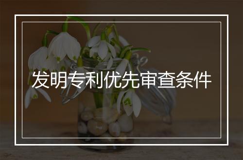 发明专利优先审查条件