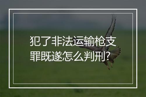犯了非法运输枪支罪既遂怎么判刑?
