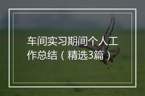 车间实习期间个人工作总结（精选3篇）