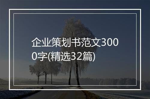 企业策划书范文3000字(精选32篇)