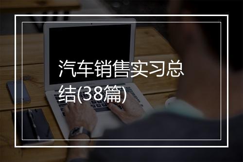 汽车销售实习总结(38篇)