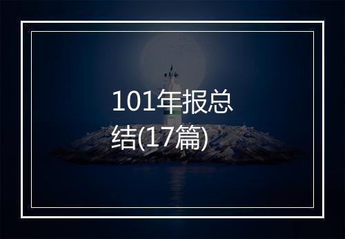 101年报总结(17篇)