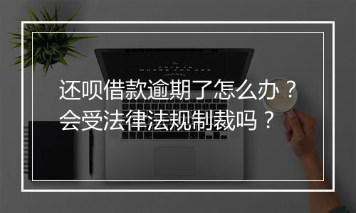 还呗借款逾期了怎么办？会受法律法规制裁吗？