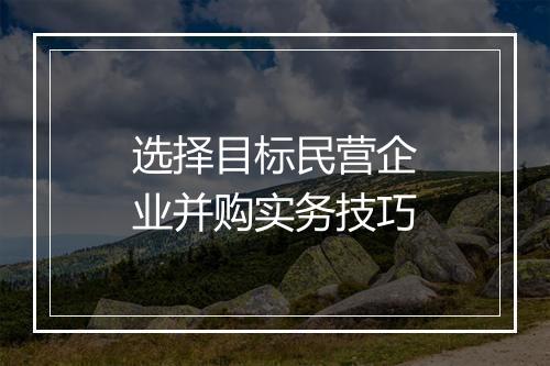 选择目标民营企业并购实务技巧