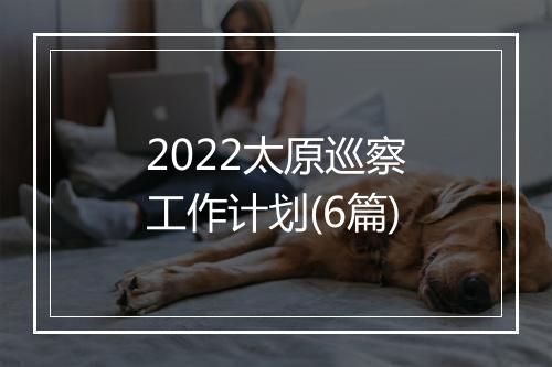 2022太原巡察工作计划(6篇)