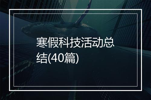 寒假科技活动总结(40篇)