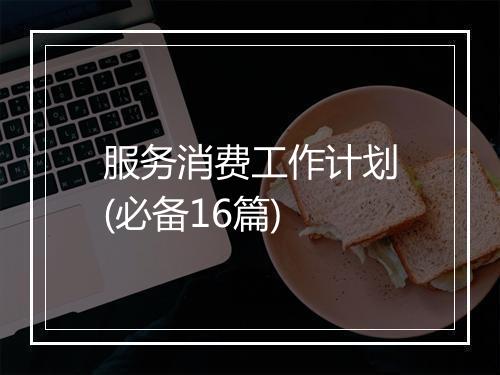 服务消费工作计划(必备16篇)