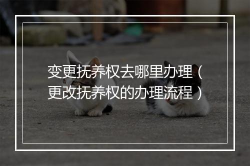 变更抚养权去哪里办理（更改抚养权的办理流程）