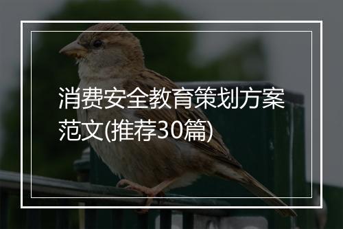 消费安全教育策划方案范文(推荐30篇)