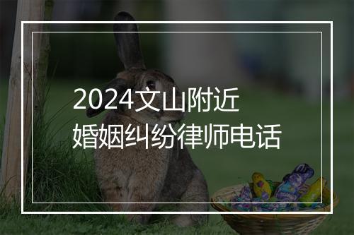 2024文山附近婚姻纠纷律师电话
