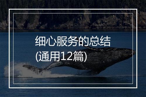 细心服务的总结(通用12篇)