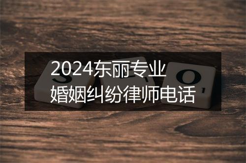 2024东丽专业婚姻纠纷律师电话