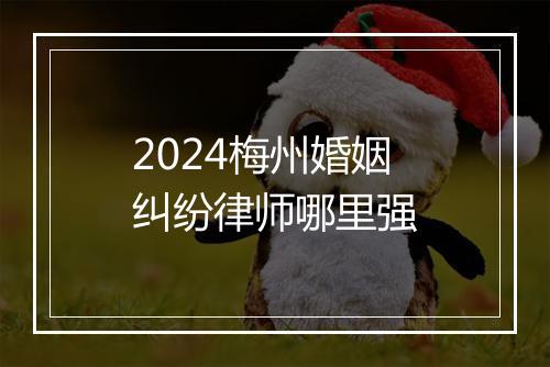 2024梅州婚姻纠纷律师哪里强