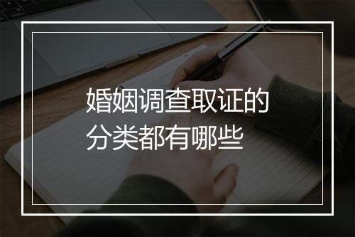 婚姻调查取证的分类都有哪些