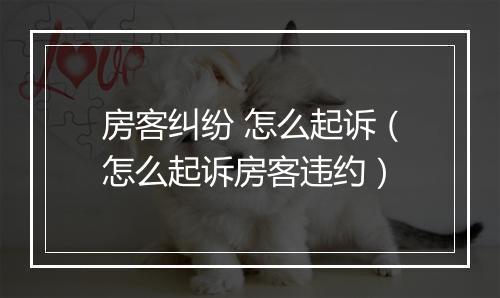 房客纠纷 怎么起诉（怎么起诉房客违约）