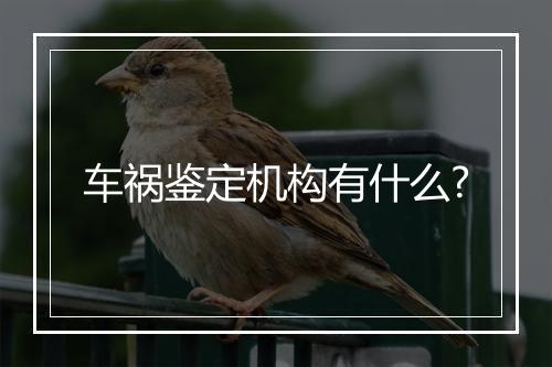 车祸鉴定机构有什么?