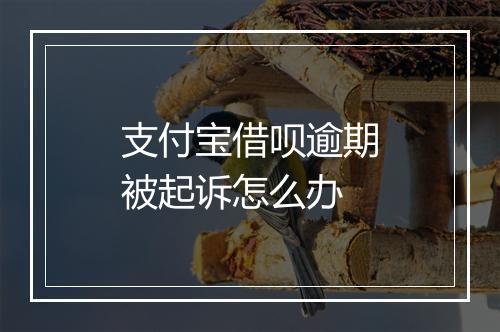支付宝借呗逾期被起诉怎么办