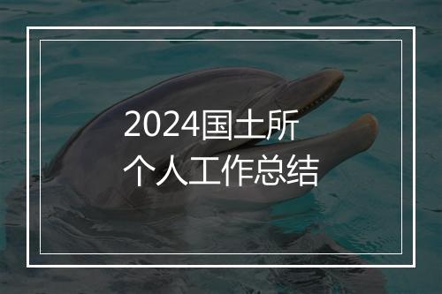 2024国土所个人工作总结