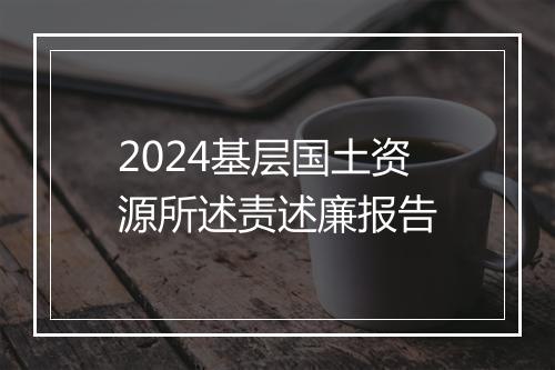 2024基层国土资源所述责述廉报告