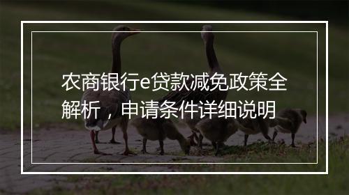 农商银行e贷款减免政策全解析，申请条件详细说明