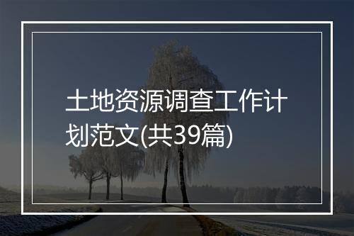 土地资源调查工作计划范文(共39篇)