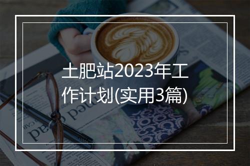 土肥站2023年工作计划(实用3篇)
