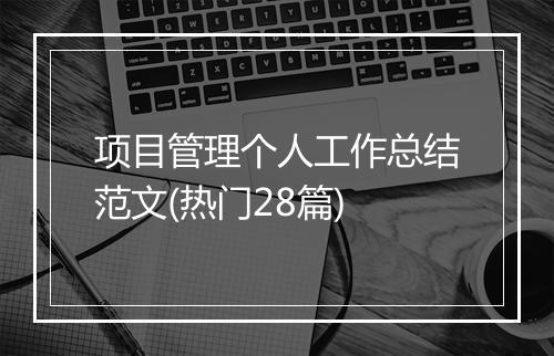 项目管理个人工作总结范文(热门28篇)