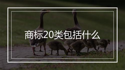 商标20类包括什么