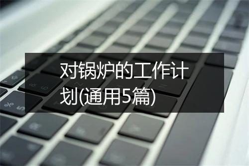 对锅炉的工作计划(通用5篇)